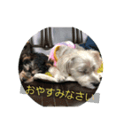 はなとそらスタンプ2（個別スタンプ：4）