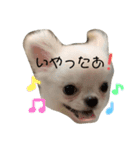 ぽこちゃんスタンプ！1（個別スタンプ：11）