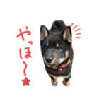 黒助ちゃん2（個別スタンプ：10）