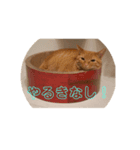 cocosora0901-01（個別スタンプ：3）
