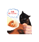 鈴木家のルドルフ（個別スタンプ：3）