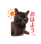 鈴木家のルドルフ（個別スタンプ：4）