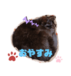 鈴木家のルドルフ（個別スタンプ：5）