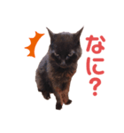 鈴木家のルドルフ（個別スタンプ：8）