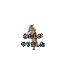 猫の鯉ちゃん（個別スタンプ：29）