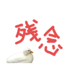 コールダックのイチ君と時々ペキチワの豆（個別スタンプ：32）