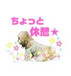 ★シーズー マック★のスタンプ2（個別スタンプ：9）