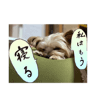 來夢 #2（個別スタンプ：1）