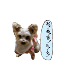 來夢 #2（個別スタンプ：2）