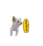 來夢 #2（個別スタンプ：5）