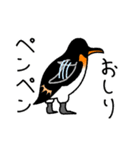 シンプルなペンギンスタンプ（個別スタンプ：16）