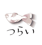 こちらがみょんてぃのスタンプです！（個別スタンプ：16）