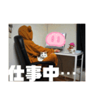 犬 猫 モルモットのスタンプ4（個別スタンプ：11）