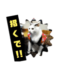 犬 猫 モルモットのスタンプ4（個別スタンプ：21）