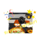 犬 猫 モルモットのスタンプ4（個別スタンプ：24）