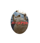 まろももち看護学生用（個別スタンプ：8）