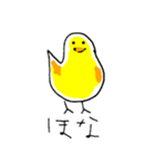 ひよっこはん（個別スタンプ：12）