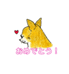 チワワのきぃちゃん（個別スタンプ：4）