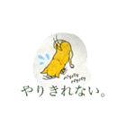 チワワのきぃちゃん（個別スタンプ：11）