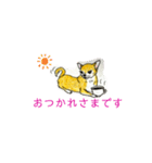 チワワのきぃちゃん（個別スタンプ：19）