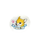 チワワのきぃちゃん（個別スタンプ：21）