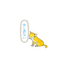 チワワのきぃちゃん（個別スタンプ：23）