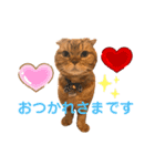 ハルとコハルとチロル（個別スタンプ：2）