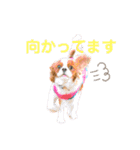 ハルとコハルとチロル（個別スタンプ：7）
