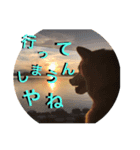 まるちゃんの西表島生活（個別スタンプ：8）