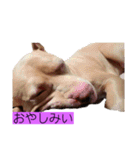じぇむさんZ（個別スタンプ：4）