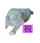 じぇむさんZ（個別スタンプ：9）