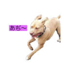 じぇむさんZ（個別スタンプ：12）