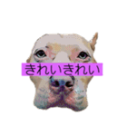 じぇむさんZ（個別スタンプ：22）