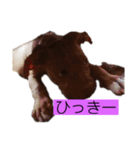 じぇむさんZ（個別スタンプ：36）