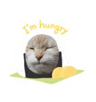 むげトうば（個別スタンプ：1）