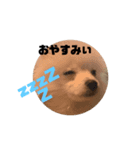 エルモくんのご挨拶（個別スタンプ：7）