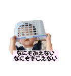 kahoぱーと2（個別スタンプ：3）