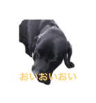 あっしゅたんぷ（個別スタンプ：3）