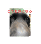 あっしゅたんぷ（個別スタンプ：5）