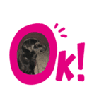 あっしゅたんぷ（個別スタンプ：8）