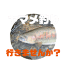 トラウトフィッシング（個別スタンプ：8）