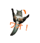 ピータンちゃん（個別スタンプ：8）