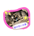 ねこねこシリーズ②（個別スタンプ：7）