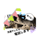 ねこねこシリーズ②（個別スタンプ：23）