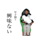 Mr.大戸先生（個別スタンプ：3）