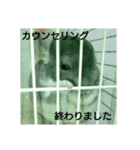 病院連絡スタンプ（個別スタンプ：1）