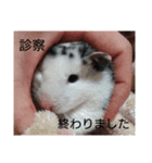 病院連絡スタンプ（個別スタンプ：2）