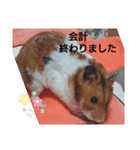 病院連絡スタンプ（個別スタンプ：4）