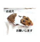 病院連絡スタンプ（個別スタンプ：7）