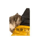 前田wavyみつを。さん（個別スタンプ：6）